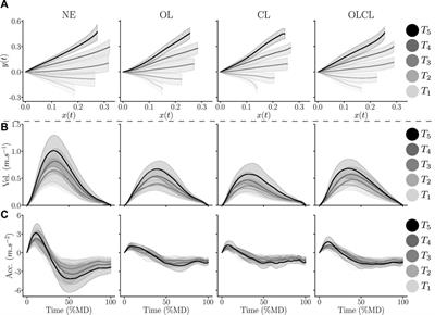 Human movement modifications induced by different levels of transparency of an active upper limb exoskeleton